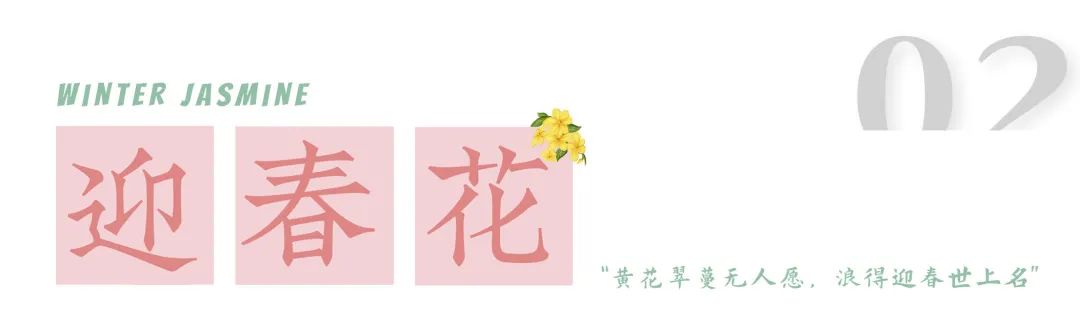 1.jpg 图片