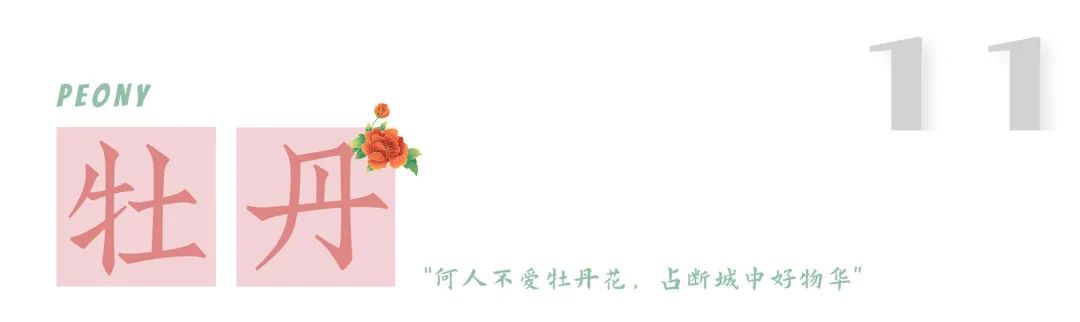 1.jpg 图片