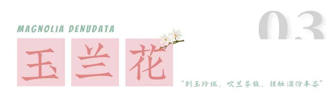 1.jpg 图片