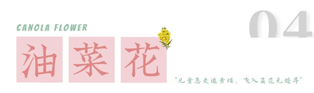 1.jpg 图片