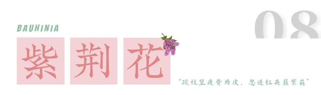 1.jpg 图片