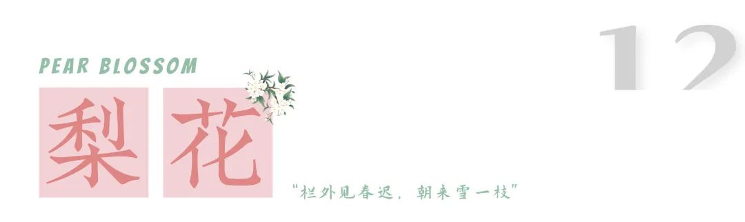 1.jpg 图片