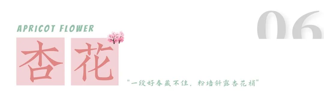 1.jpg 图片