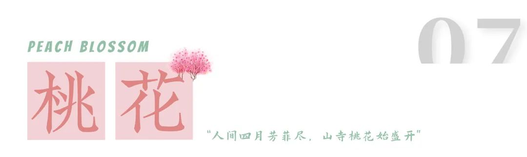 1.jpg 图片