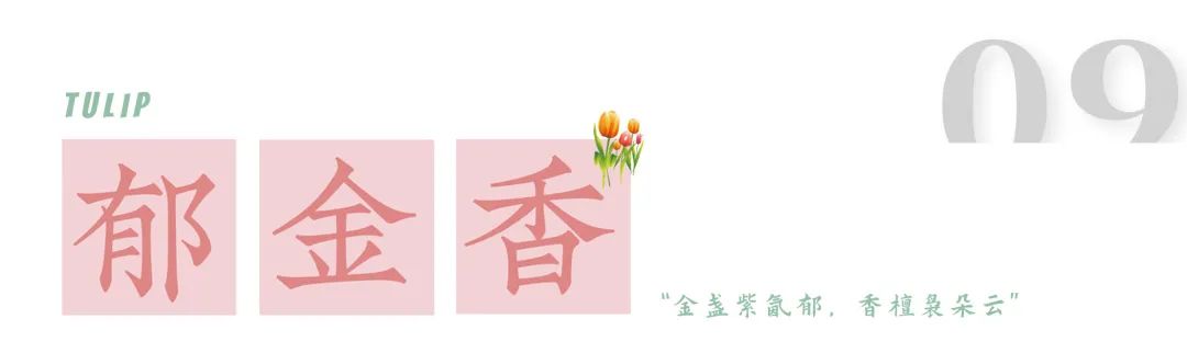 1.jpg 图片