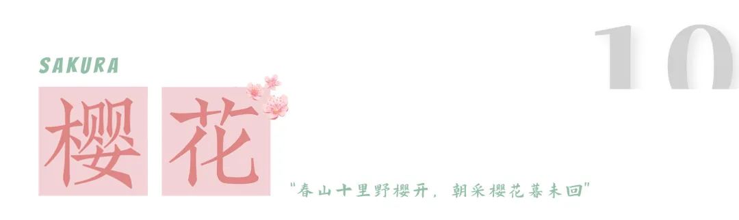 1.jpg 图片