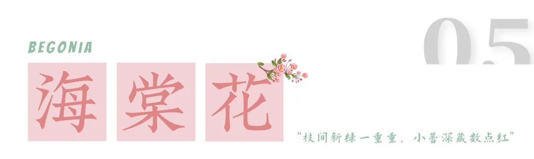 1.jpg 图片
