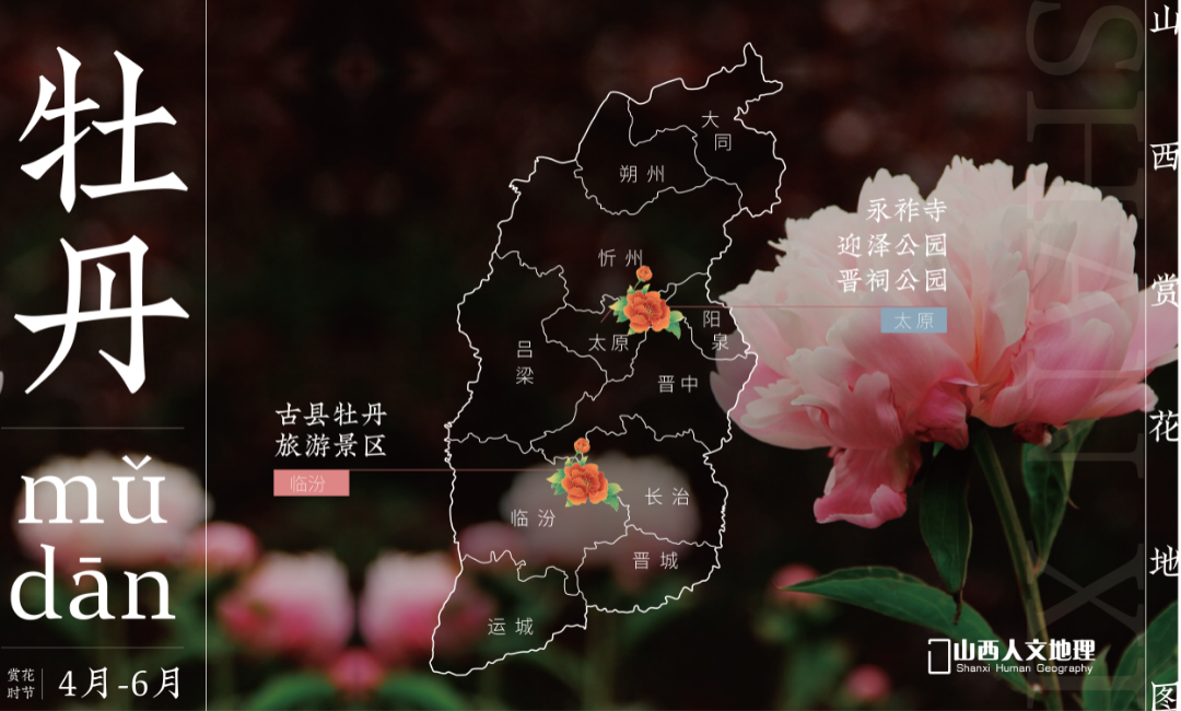 山西赏花地图2_画板 1 副本 10.png 图片