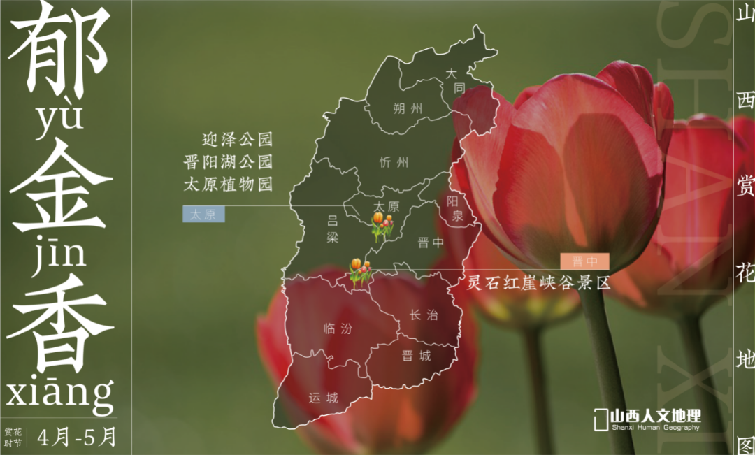 山西赏花地图2_画板 1 副本 8.png 图片