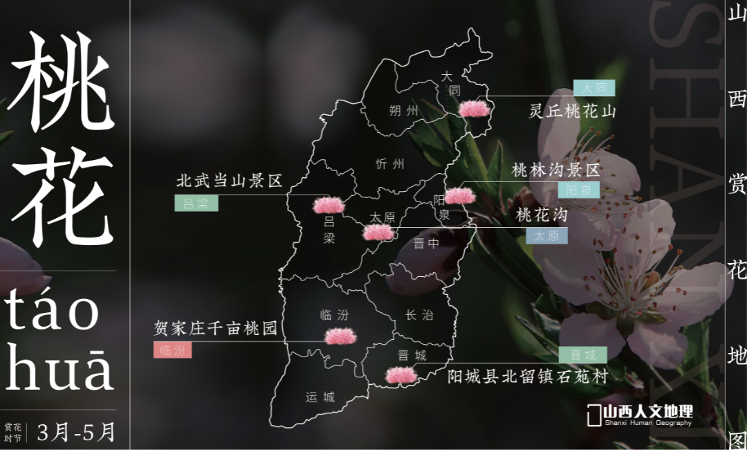 山西赏花地图2_画板 1 副本 6.png 图片
