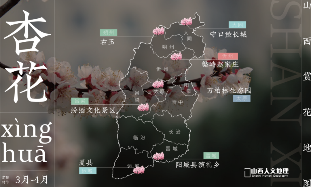 山西赏花地图2_画板 1 副本.png 图片