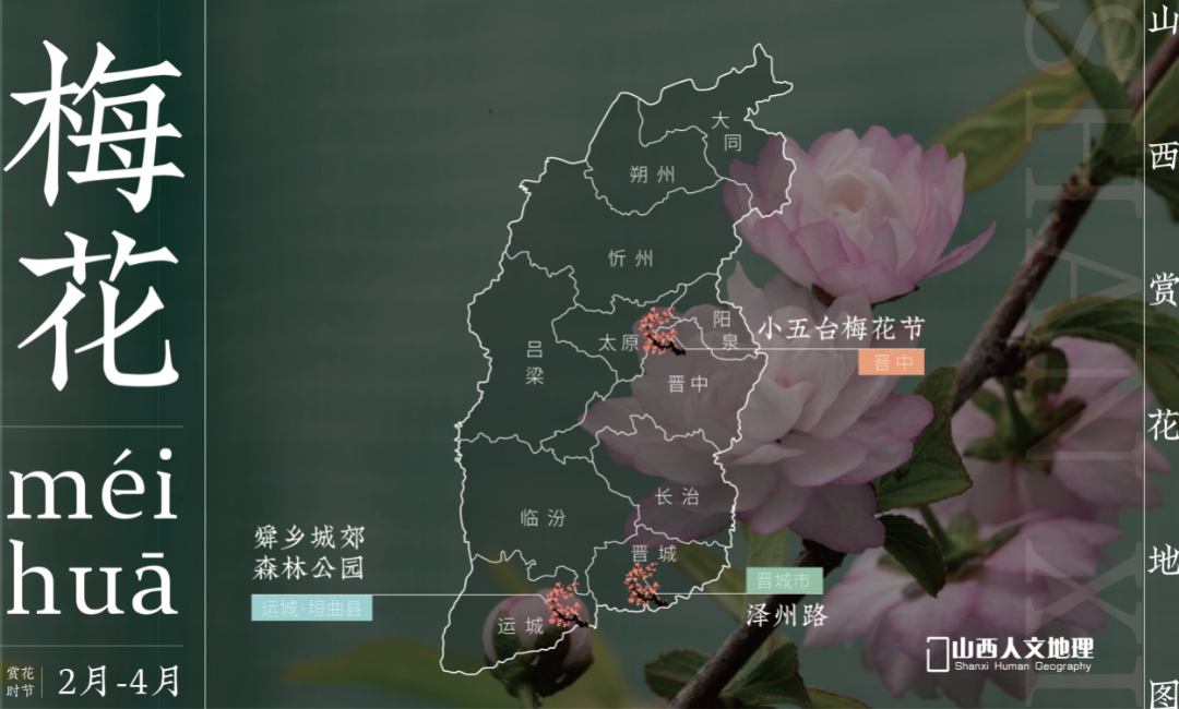 山西赏花地图2_画板 1.png 图片