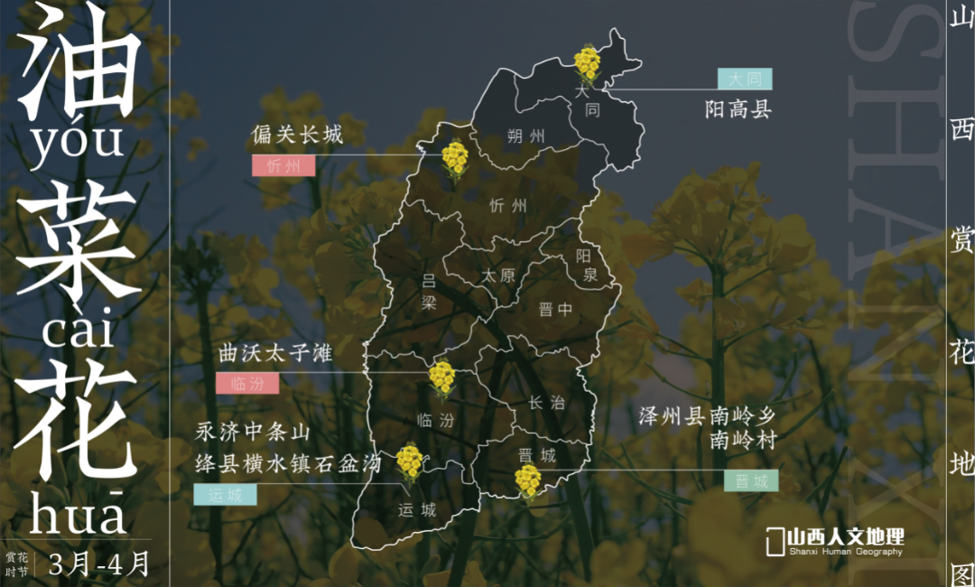 山西赏花地图2_画板 1 副本 4.png 图片