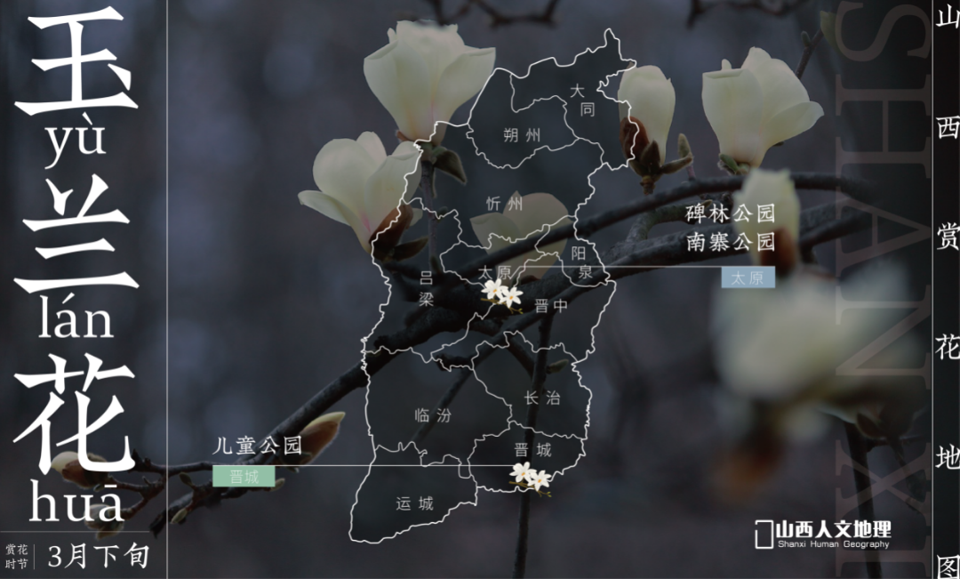 山西赏花地图2_画板 1 副本 3.png 图片
