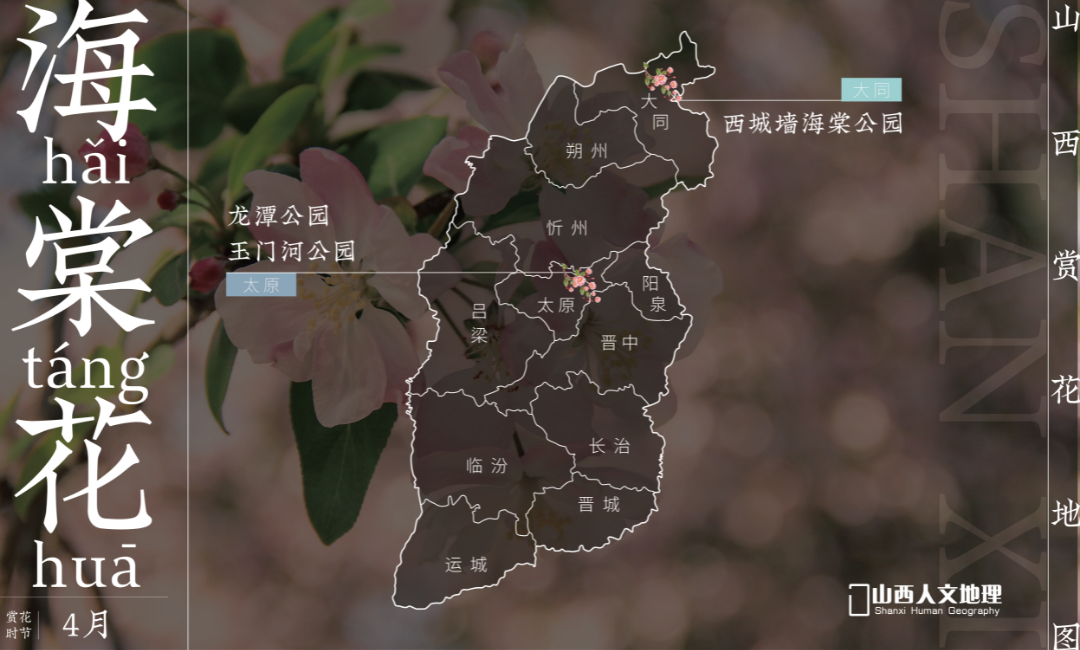 山西赏花地图2_画板 1 副本 5.png 图片